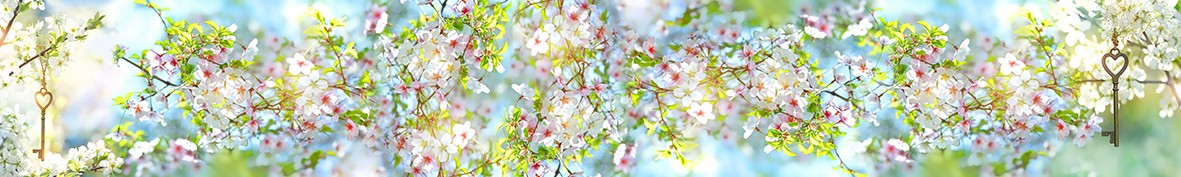 Фартуки для кухни: Популярное -6279