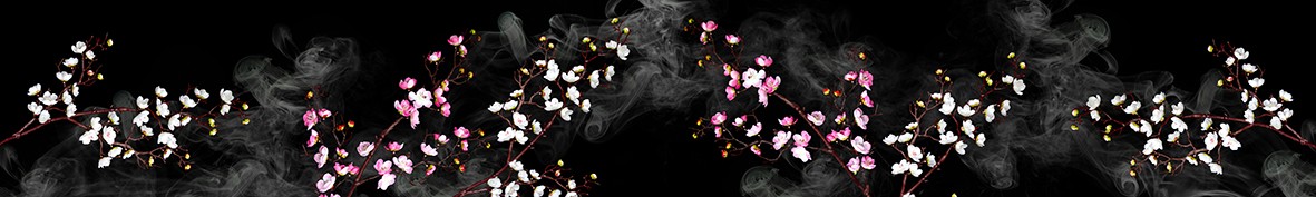 Фартуки для кухни: Популярное -6297