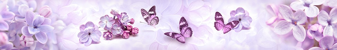 Фартуки для кухни: Популярное -6298