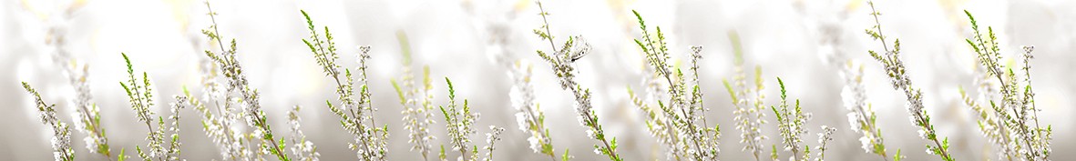 Фартуки для кухни: Популярное -6363
