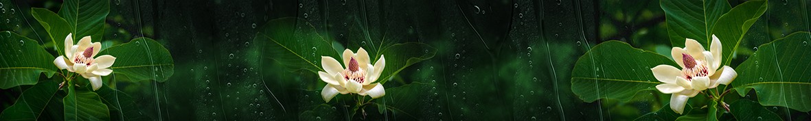 Фартуки для кухни: Популярное -6384