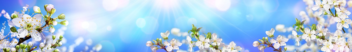 Фартуки для кухни: Популярное -6593
