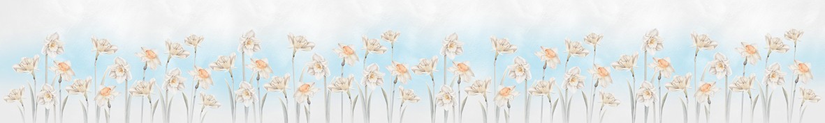 Фартуки для кухни: Популярное -6612