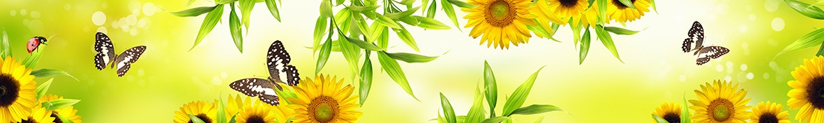 Фартуки для кухни: Популярное -6682