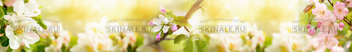 Фартуки для кухни: Популярное-4250