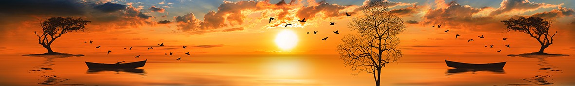 Фартуки для кухни: Популярное -6592