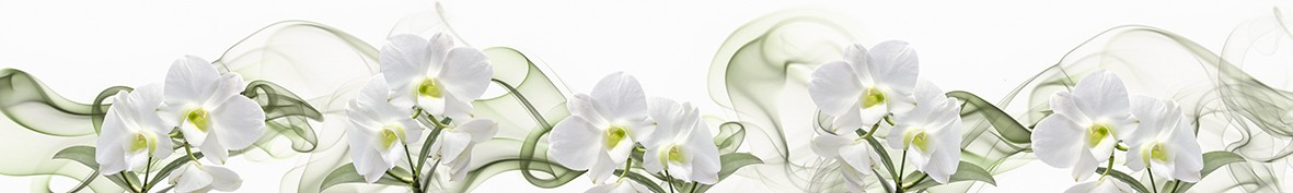 Фартуки для кухни: Популярное -5171
