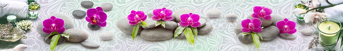 Фартуки для кухни: Популярное -5242