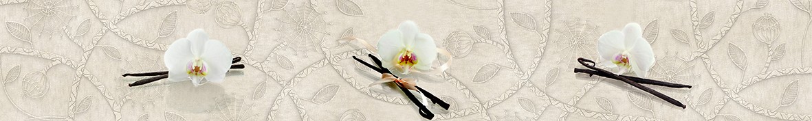Фартуки для кухни: Популярное -5279