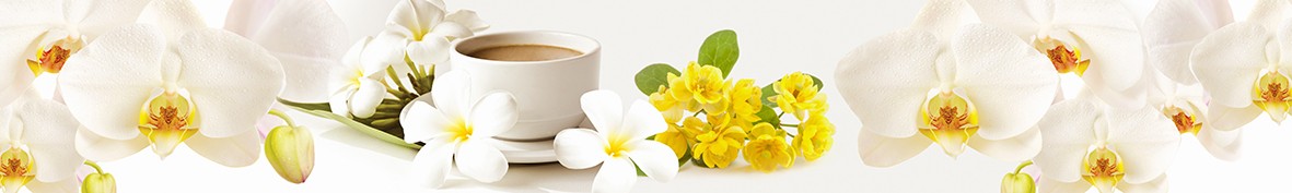 Фартуки для кухни: Популярное -5293