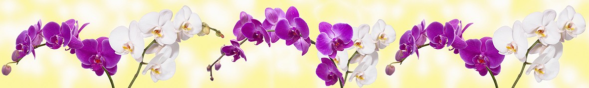 Фартуки для кухни: Популярное -5367
