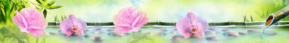 Фартуки для кухни: Популярное -5373
