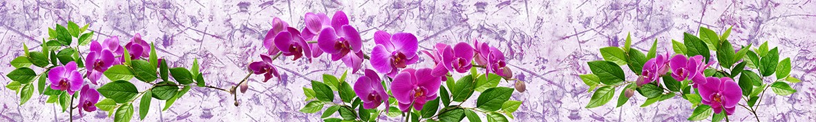 Фартуки для кухни: Популярное -5684