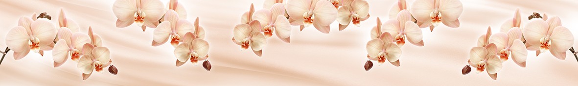 Фартуки для кухни: Популярное -5753