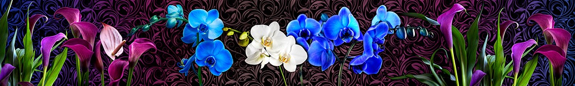 Фартуки для кухни: Популярное -5984