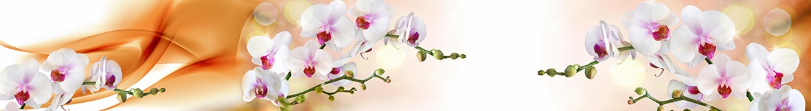 Фартуки для кухни: Популярное -6373
