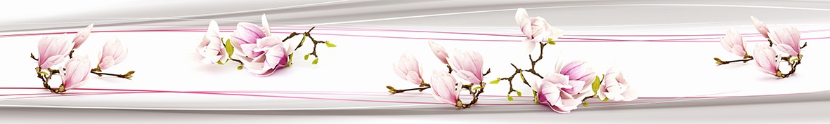 Фартуки для кухни: Популярное -6523