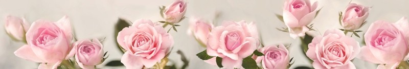 Фартуки для кухни: Цветы - 3103