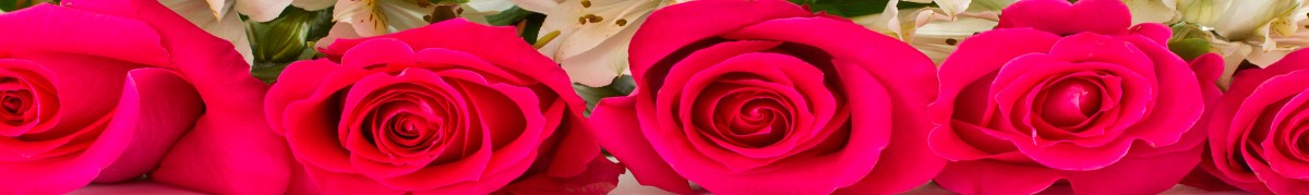 Фартуки для кухни: Цветы - 3329