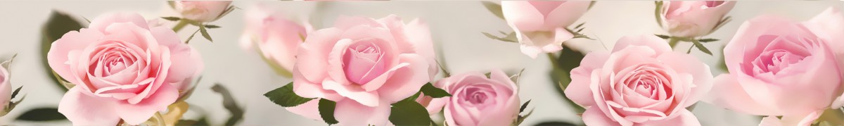 Фартуки для кухни: Цветы - 3499