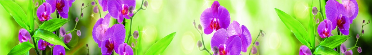 Фартуки для кухни: Цветы - 3124