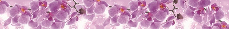 Фартуки для кухни: Цветы - 3169