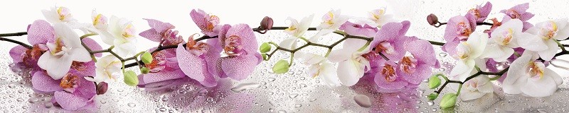 Фартуки для кухни: Цветы - 3171