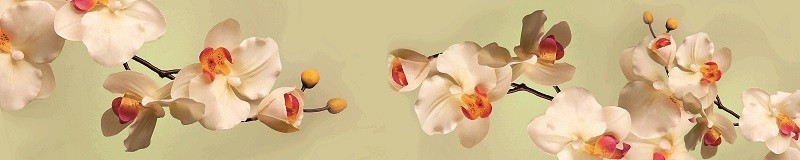 Фартуки для кухни: Цветы - 3173