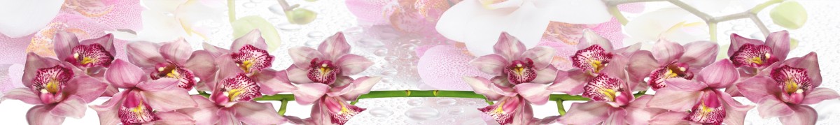 Фартуки для кухни: Цветы - 3322