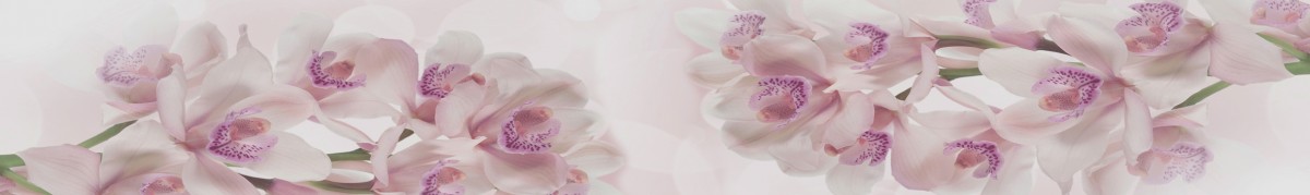 Фартуки для кухни: Цветы - 3356