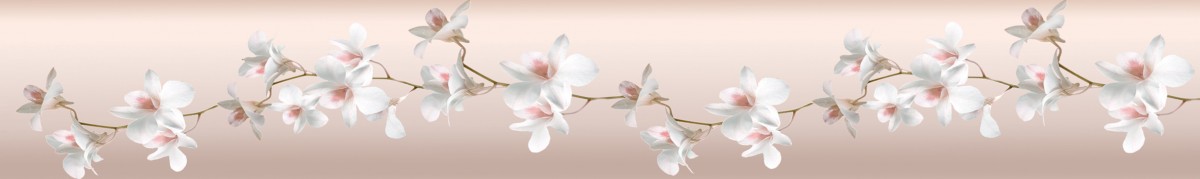 Фартуки для кухни: Цветы - 3358