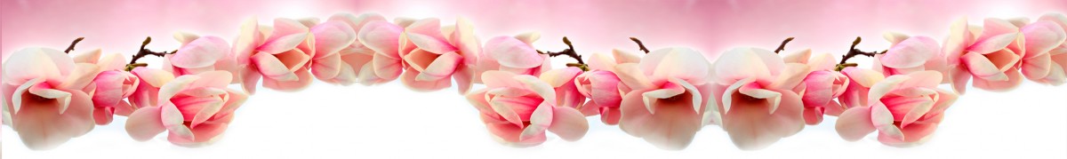 Фартуки для кухни: Цветы - 3383