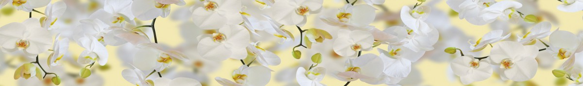 Фартуки для кухни: Цветы - 3519