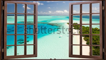 Фартуки для кухни: 1063142414-1
