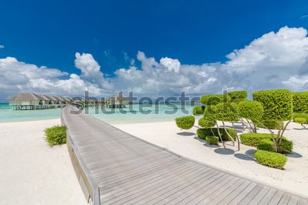 Фартуки для кухни: 1145310974-1