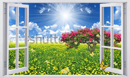 Фартуки для кухни: 178801502-1