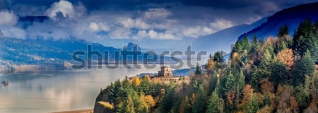 Фартуки для кухни: 633115979-1