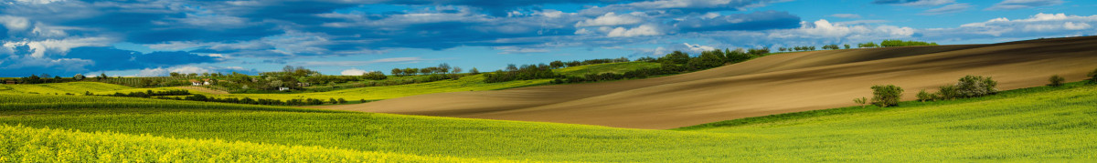 Фартуки для кухни: Природа - 5048