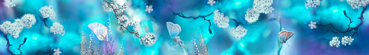 Фартуки для кухни: Природа - 5054