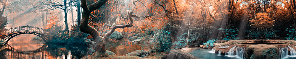 Фартуки для кухни: Природа - 5060