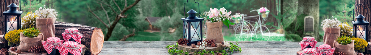 Фартуки для кухни: Природа - 5067