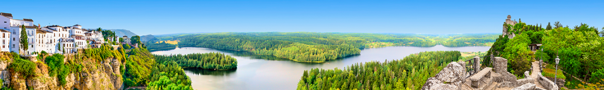 Фартуки для кухни: Природа - 5068