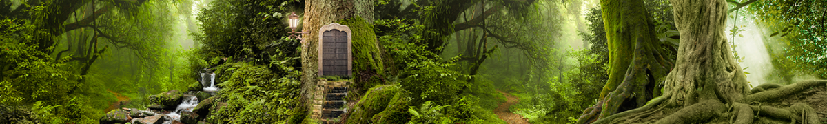 Фартуки для кухни: Природа - 5077