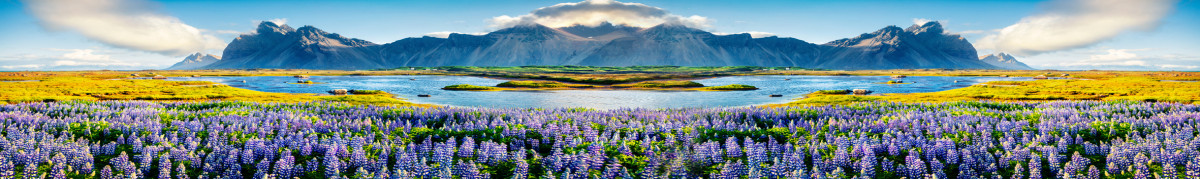 Фартуки для кухни: Природа - 5101