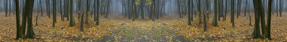 Фартуки для кухни: Природа - 5183