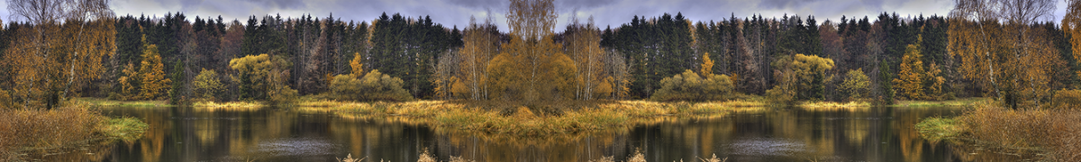 Фартуки для кухни: Природа - 5193