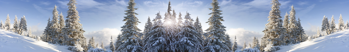 Фартуки для кухни: Природа - 5195