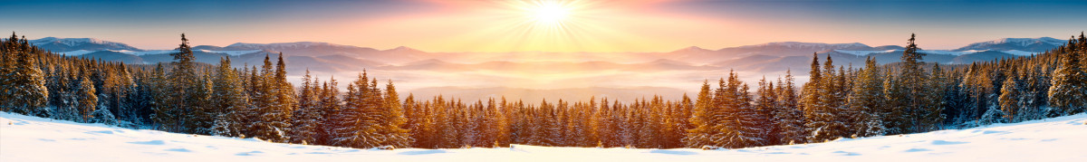 Фартуки для кухни: Природа - 5291