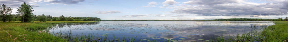 Фартуки для кухни: Природа - 5304