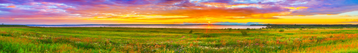 Фартуки для кухни: Природа - 5332